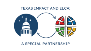 Read more about the article Texas Impact – Our Partner in State Public Polic